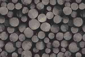 Ковролин Ege Highline Nature rf 5500627 фото  | FLOORDEALER