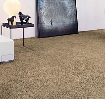 Vorwerk Superior 1041 Vorwerk 8j894 фото 2 | FLOORDEALER