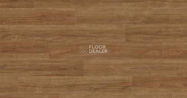 Ламинат Haro Tritty 100 4V ДУБ ЭЛЕГАНЗА НАТУР 541473 фото 1 | FLOORDEALER