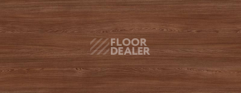 Широкий плинтус Cubu flex life XL 60/19 Touch and style 2950 paulin фото 2 | FLOORDEALER