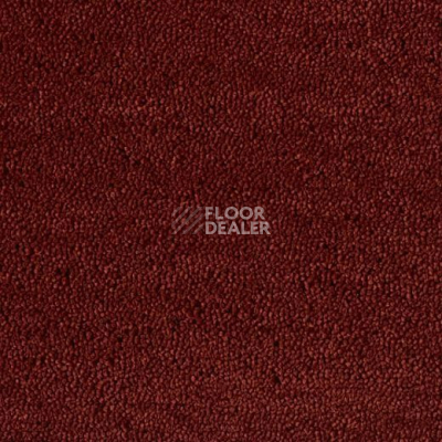 Ковролин Lano Casanova 310 фото 1 | FLOORDEALER