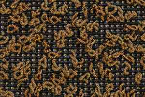 Ковролин Carpet Concept Eco Iqu S 60269 фото  | FLOORDEALER