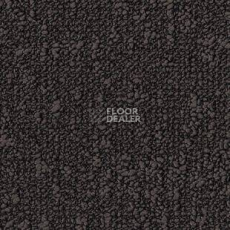 Ковровая плитка Desso Fields 9111 фото 1 | FLOORDEALER