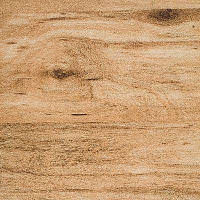 Линолеум Novoflor Extra Styl 4800-12 фото 1 | FLOORDEALER