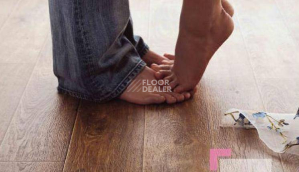 Линолеум Tarkett Magia Viva Magia Viva фото 1 | FLOORDEALER