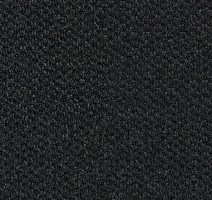 Грязезащитные покрытия Forbo Coral Marine FR 4210 Rotterdam Black фото 1 | FLOORDEALER