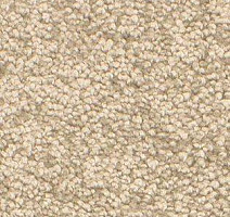 Ковролин AW Gaia Solstice 33 фото 1 | FLOORDEALER