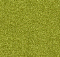 Interface Polichrome 7595 Gooseberry фото 1 | FLOORDEALER