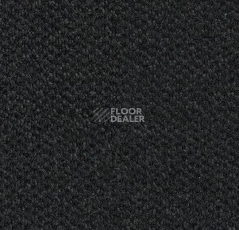 Грязезащитные покрытия Forbo Coral Marine FR 4210 Rotterdam Black фото 1 | FLOORDEALER