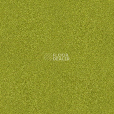 Ковровая плитка Interface Polichrome 7595 Gooseberry фото 1 | FLOORDEALER