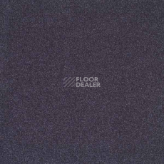 Ковровая плитка Interface Heuga 731 7362 фото 1 | FLOORDEALER