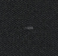 Forbo Coral Marine FR 4210 Rotterdam Black фото 1 | FLOORDEALER