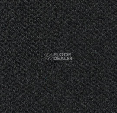 Грязезащитные покрытия Forbo Coral Marine FR 4210 Rotterdam Black фото 1 | FLOORDEALER