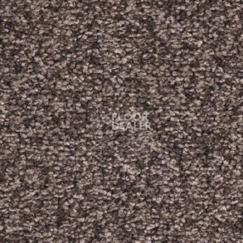 Ковролин Balsan Ultrasoft 780 фото 1 | FLOORDEALER