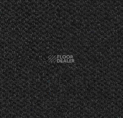 Грязезащитные покрытия Forbo Coral Marine FR 4210 Rotterdam Black фото 1 | FLOORDEALER