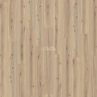 Kronotex Robusto 12мм d80032 Дуб Аризона Бежевый фото 2 | FLOORDEALER