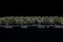 Coral Interior 1518 Rain Forest фото 4 | FLOORDEALER