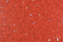 Forbo Emerald Spectra 5555 фото 1 | FLOORDEALER