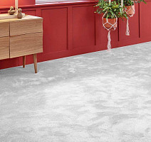 Vorwerk Superior 1067 Mira Vorwerk 5y00 фото 2 | FLOORDEALER