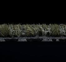 Coral Interior 1518 Rain Forest фото 4 | FLOORDEALER