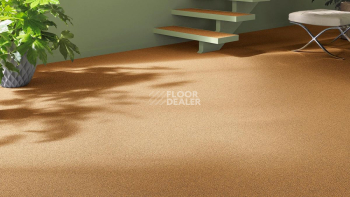 Vorwerk Essential 1031 Vorwerk 2f28 фото 2 | FLOORDEALER
