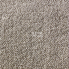 Ковролин Jacaranda Carpets Rajgarh Pearl фото 1 | FLOORDEALER