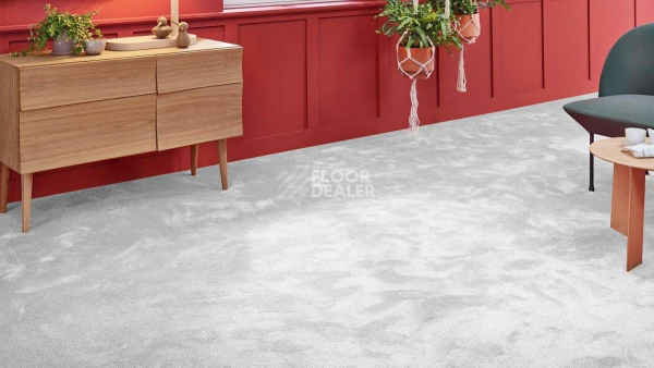 Vorwerk Superior 1067 Mira Vorwerk 5y00 фото 2 | FLOORDEALER