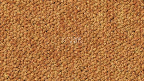 Ковровая плитка DESSO Airmaster Tierra 5420 фото 1 | FLOORDEALER