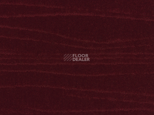 Ковролин Carve Linea 100 Ruby фото 1 | FLOORDEALER