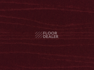 Ковролин Lano Carve Linea 100 Ruby фото 1 | FLOORDEALER