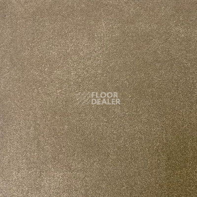 Ковролин Haima Andorra 2199 фото 1 | FLOORDEALER