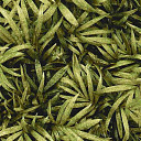 Ковролин Halbmond Pure Elements 13838  | FLOORDEALER