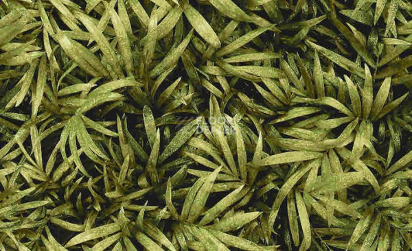 Ковролин Halbmond Pure Elements 13838 фото 1 | FLOORDEALER