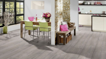 Terhurne Trend Line 327мм 1850  Дуб Серебристо-Серый  1101021686 фото 4 | FLOORDEALER