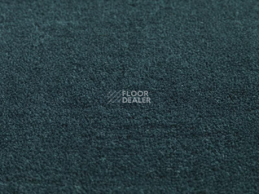 Ковролин Jacaranda Carpets Heavy Velvet Peacock фото 1 | FLOORDEALER