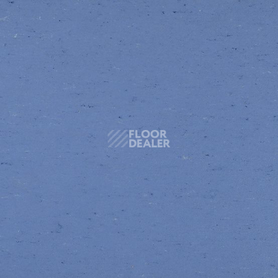 Линолеум Colorette 0004 Bluebird фото 1 | FLOORDEALER