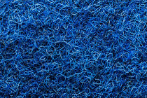 Ковровая плитка Forte в плитке 96057 t Lagoon фото 1 | FLOORDEALER