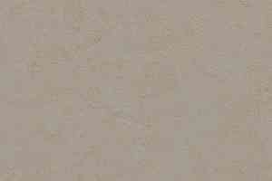 Линолеум Forbo Marmoleum Solid Concrete 3706 beton фото  | FLOORDEALER