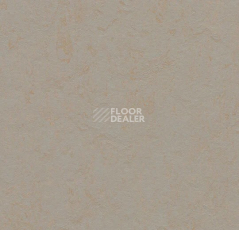 Линолеум Forbo Marmoleum Solid Concrete 3706 beton фото 1 | FLOORDEALER