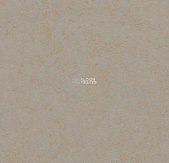 Forbo Marmoleum Solid Concrete 3706 beton фото 1 | FLOORDEALER