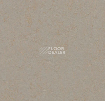 Линолеум Forbo Marmoleum Solid Concrete 3706 beton фото 1 | FLOORDEALER