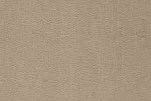 Ковролин Balta ITC Prominent 34 фото  | FLOORDEALER