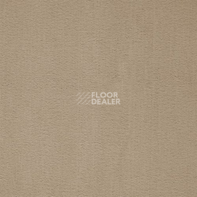 Ковролин Balta ITC Prominent 34 фото 1 | FLOORDEALER