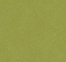 Линолеум Grabo Silver Knight Acoustic 9 455_886-7405 фото 1 | FLOORDEALER