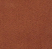 Ковролин In-Tense 66 фото 1 | FLOORDEALER