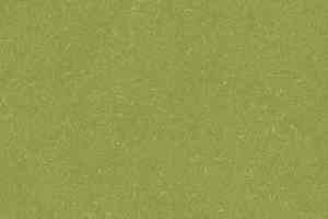 Линолеум Grabo Silver Knight Acoustic 9 455_886-7405 фото  | FLOORDEALER