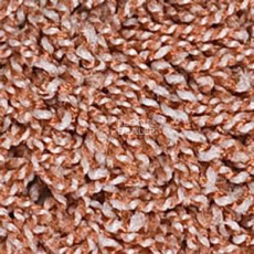 Ковролин Infloor Cottel 705 фото 1 | FLOORDEALER