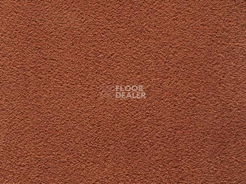 Ковролин In-Tense 66 фото 1 | FLOORDEALER