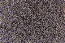 Flotex Colour s 482020 Penang Shale фото 3 | FLOORDEALER