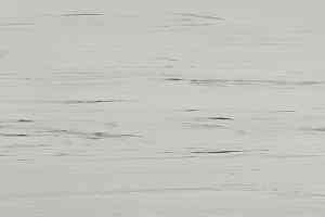 Линолеум Lino Fatra Garis 227 фото  | FLOORDEALER